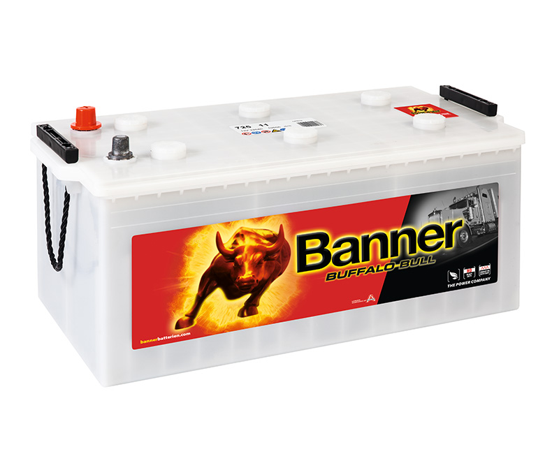 010725110101-Buffalo Bull 725 11