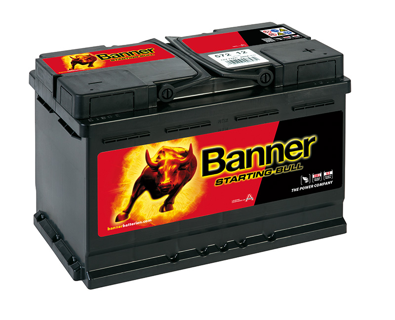 Starting Bull 572 12